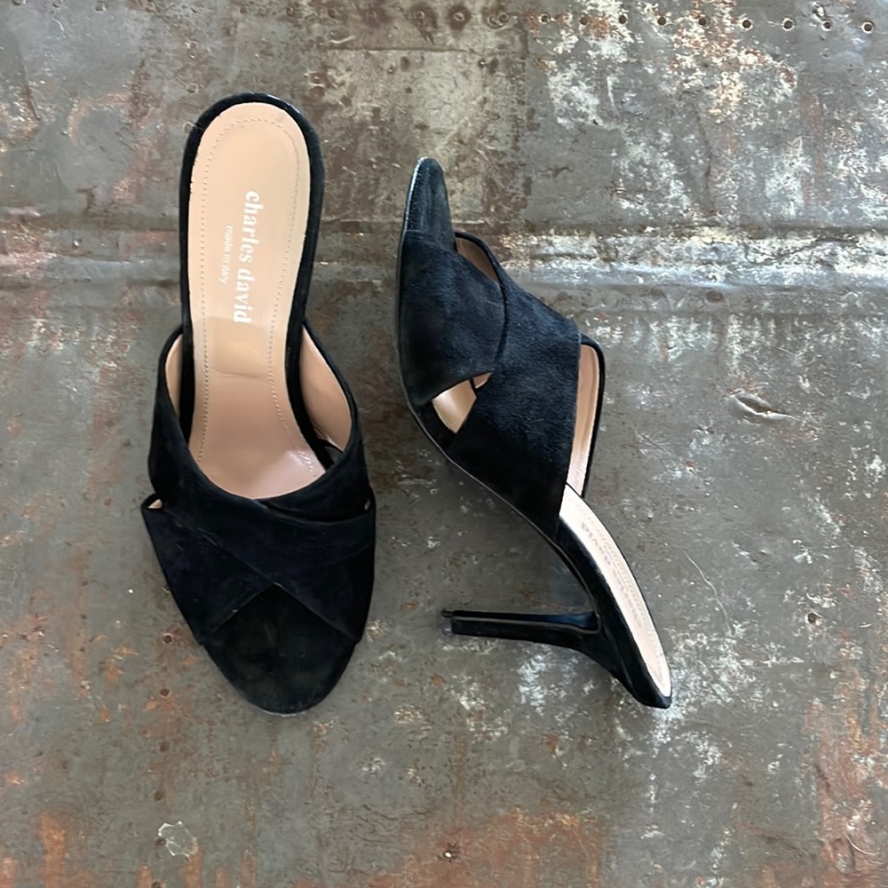 Charles David Stiletto Slide